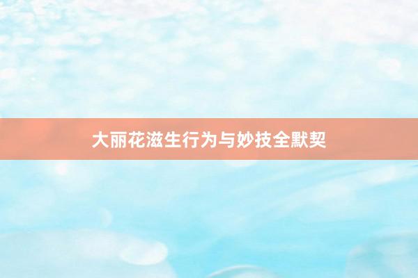 大丽花滋生行为与妙技全默契