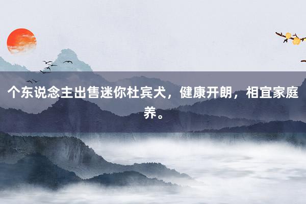 个东说念主出售迷你杜宾犬，健康开朗，相宜家庭养。