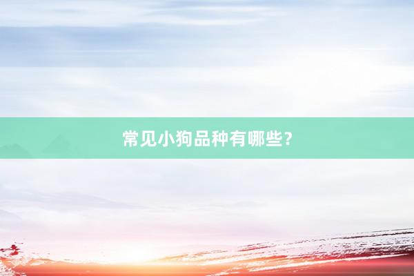 常见小狗品种有哪些？
