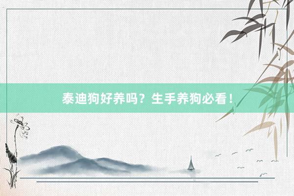 泰迪狗好养吗？生手养狗必看！