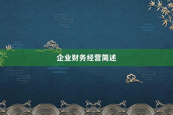 企业财务经营简述